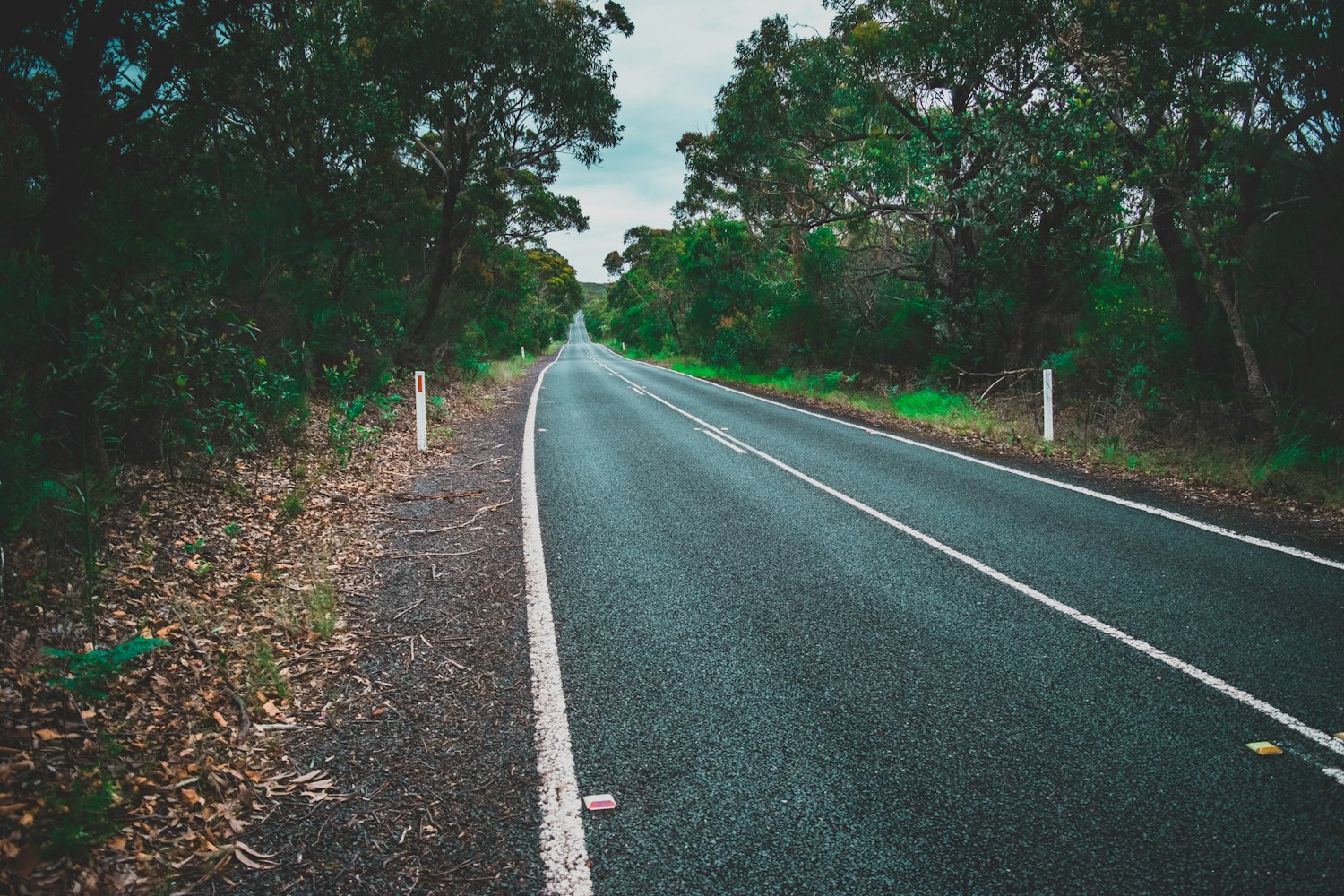 清明节高速公路免费吗?〃清明节高速公路免费吗?贵州 清明节高速公路免费吗?〃清明节高速公路免费吗?贵州