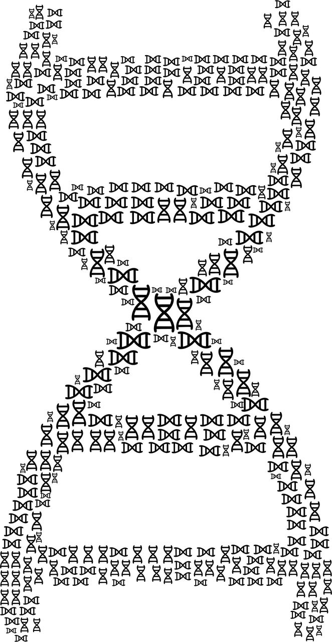 【进返京不再查验核酸和健康码/进返京不再查验核酸和健康码怎么办】 【进返京不再查验核酸和健康码/进返京不再查验核酸和健康码怎么办】